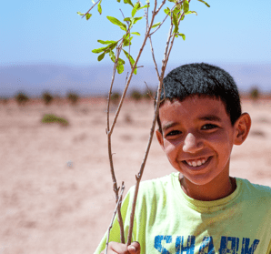 Garçon souriant tenant un jeune plant d'olivier